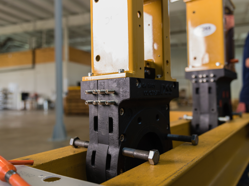 DSS Valves